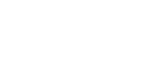 fisura