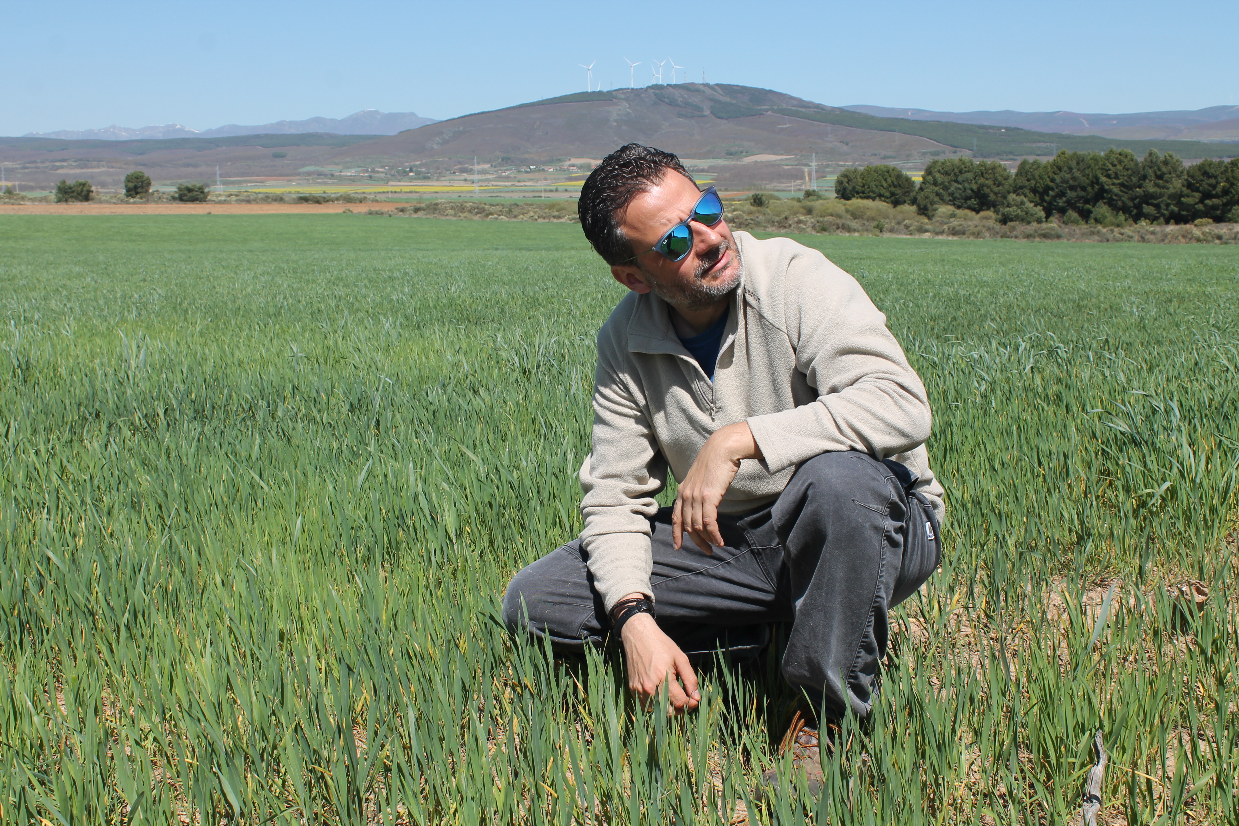 Emilio Gómez - Inagron Ingenieros